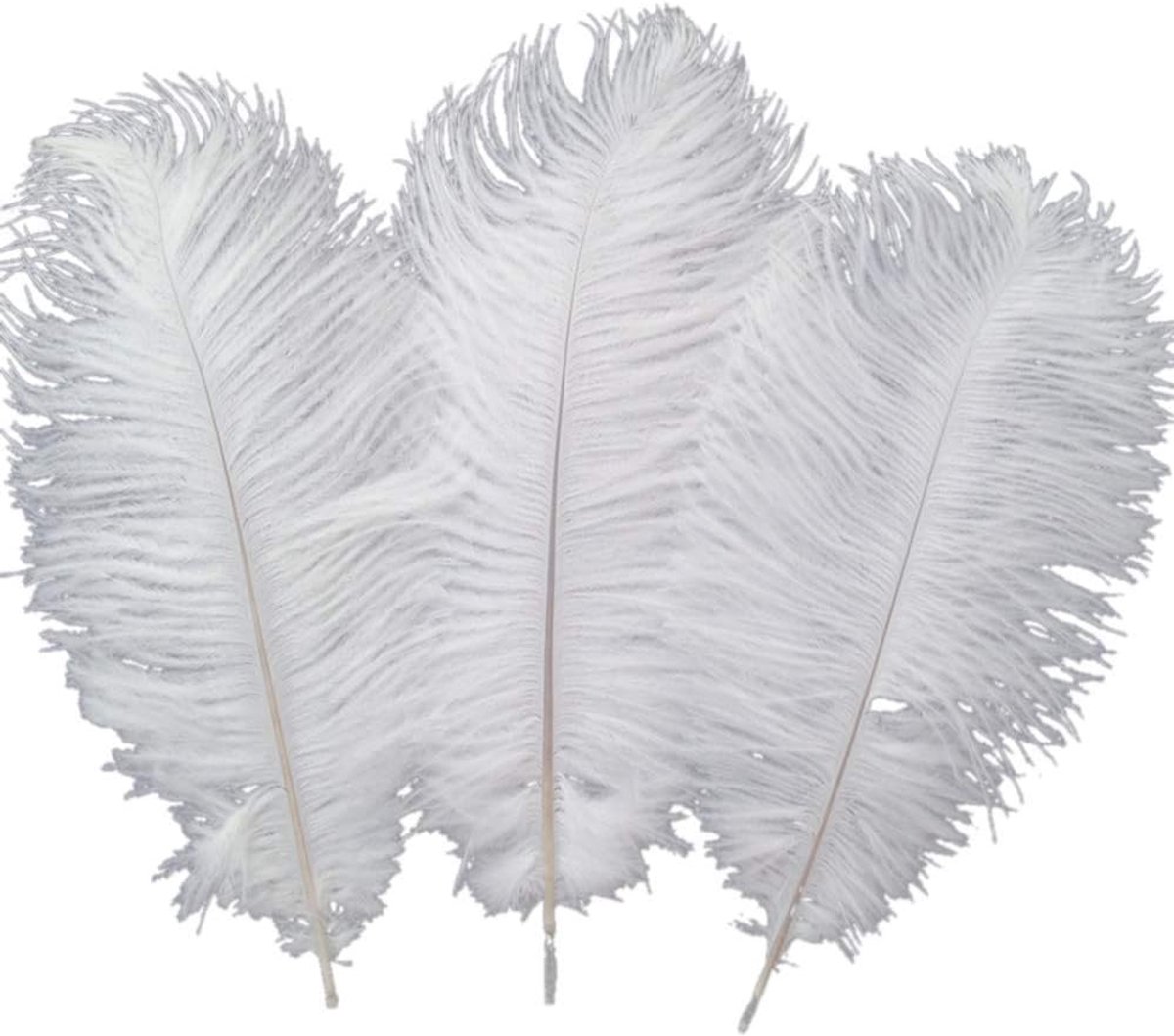 Veren 30-35 cm voor Bruiloftsdecoraties (wit)