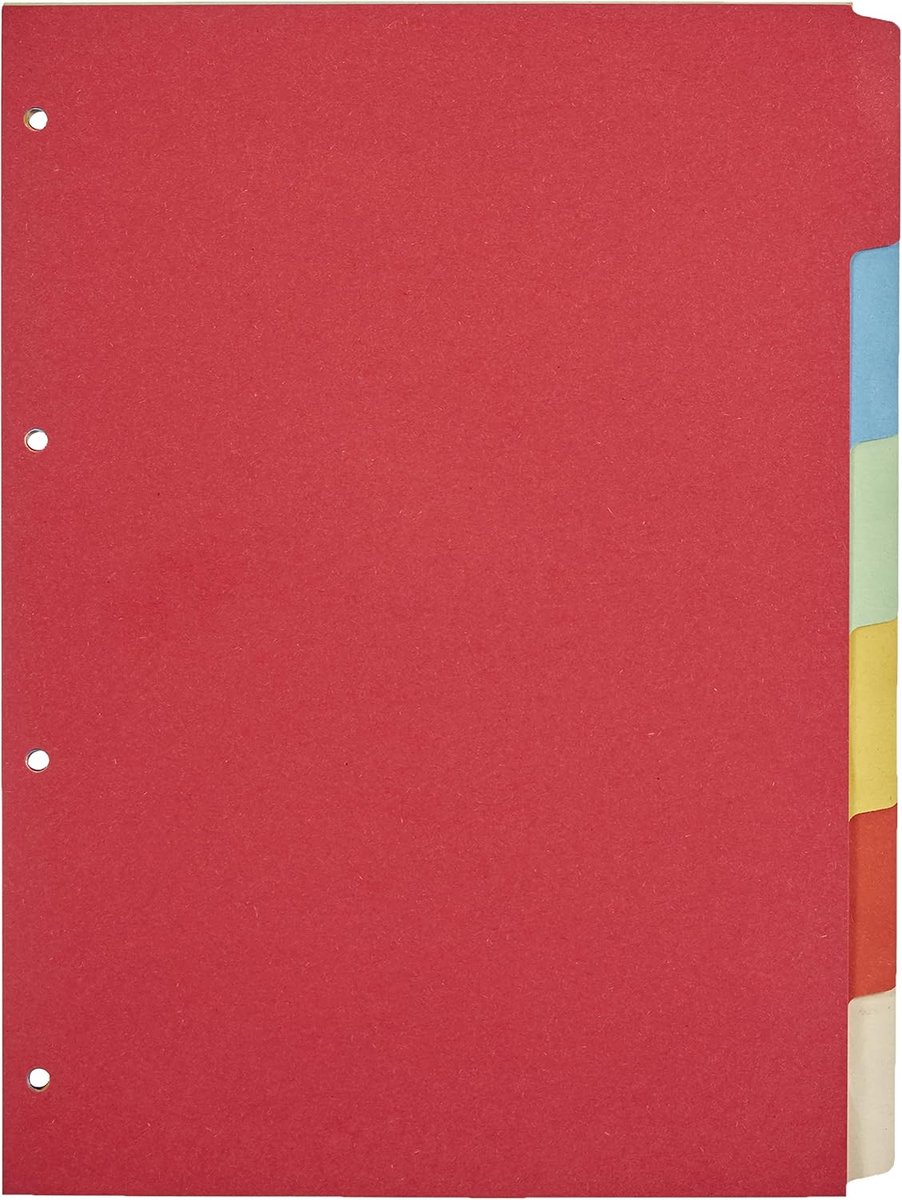 Kartonnen register DIN A4 blanco beschrijfbaar. 180 g/m² Manilla gerecycled karton. 6-delig