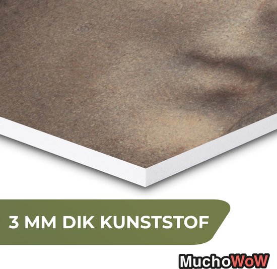 Hexagon wanddecoratie - Kunststof Wanddecoratie - Hexagon Schilderij - The Head of the Virgin - Leonardo da Vinci - 75x65 cm