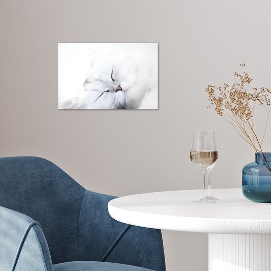 Poster 30x20 cm - Kat - Wit - Close up - Posters - Kamer decoratie - Wanddecoratie woonkamer - Muurdecoratie slaapkamer