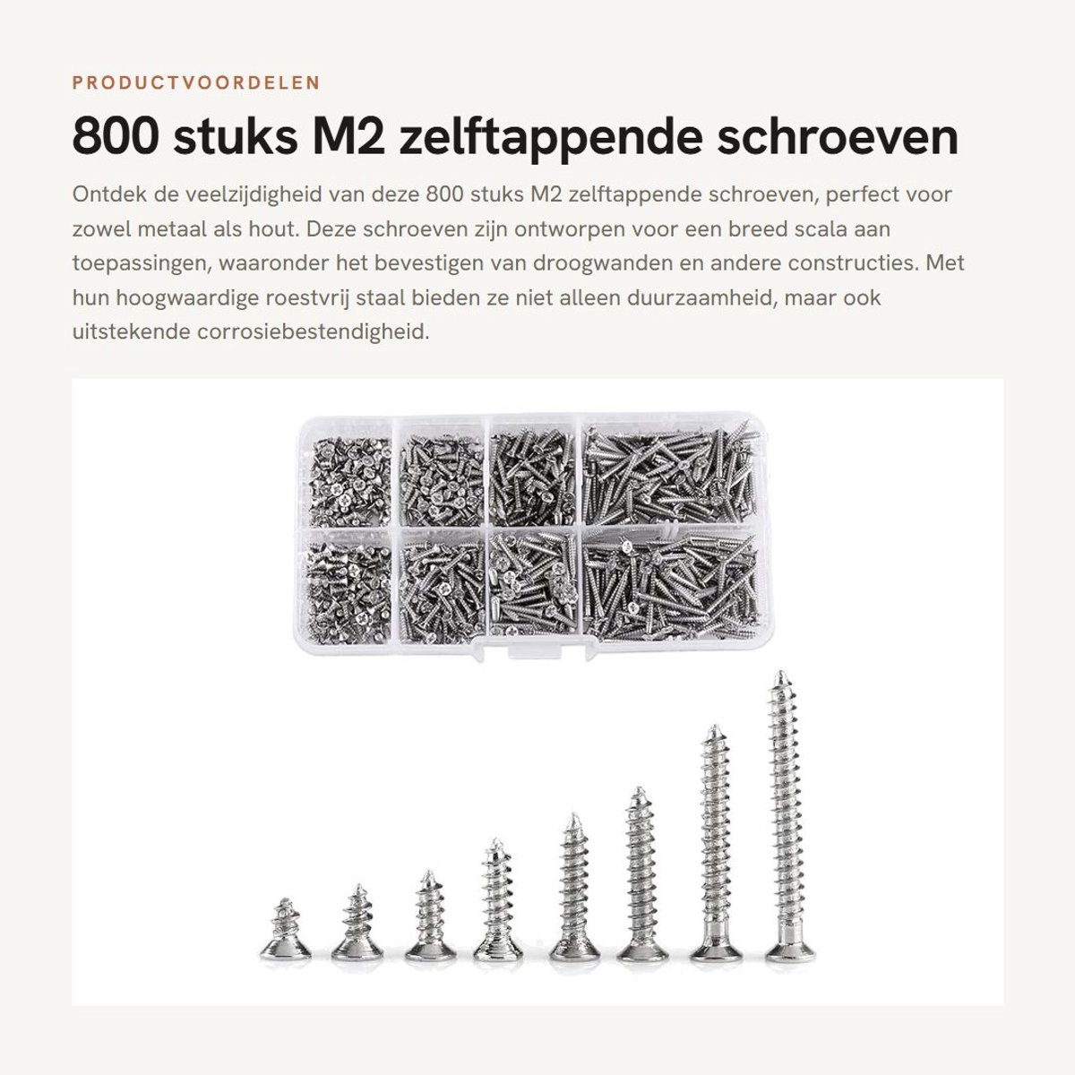 Dailygoods- Zelftappende Schroeven 800 Stuks - Roestvrij Staal - Kruiskopschroeven - Voor Metaal/Hout - Opbergdoos - Corrosiebestendig