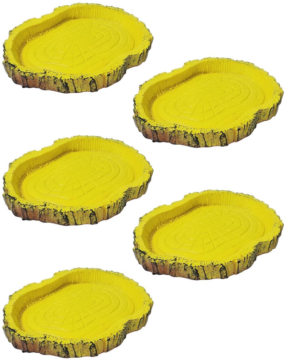 Dailygoods- Voederbak - Veilig, niet-giftig - Voederbak voor hagedissen - Voederbak voor reptielen - Lichtgewicht - 5 stuks - Natuurlijk realistisch ontwerp - Reptielenvoerbak