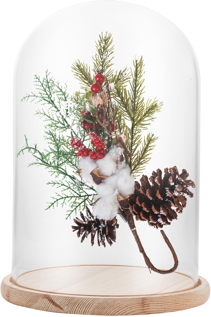 Dailygoods- Glazen Bel 30 cm Hoog - Houten Bodem - Decoratieve Glazen Kap - Bewaarobjecten - Woonaccessoire - Hoogwaardig Hout - Glazen Koepel