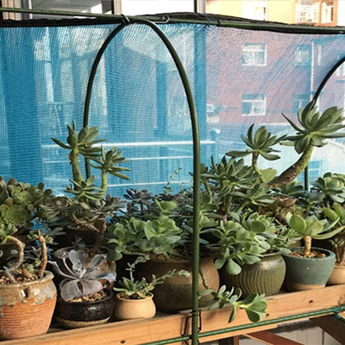 Schaduwdoek Terrasoverkapping Tuin Camping Onderdak Schuurtje Touwbevestiging Hek Privacyscherm Voorruit Zware stof Dekzeilnet Terras Rooster Balkon Tuin,2M*2M