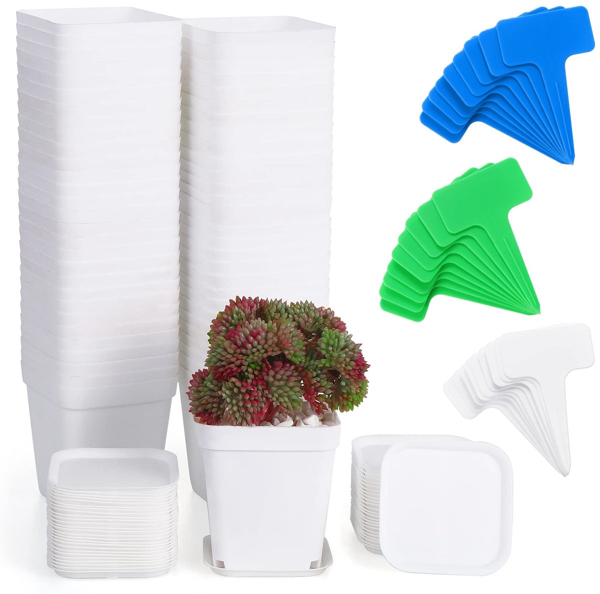 60 stuks kunststof potten voor planten, 7 cm, vierkante plantenpotten met potten en plantenbord, mini-bloempotten van kunststof voor bloemen voor tuin, kantoor en balkon, wit