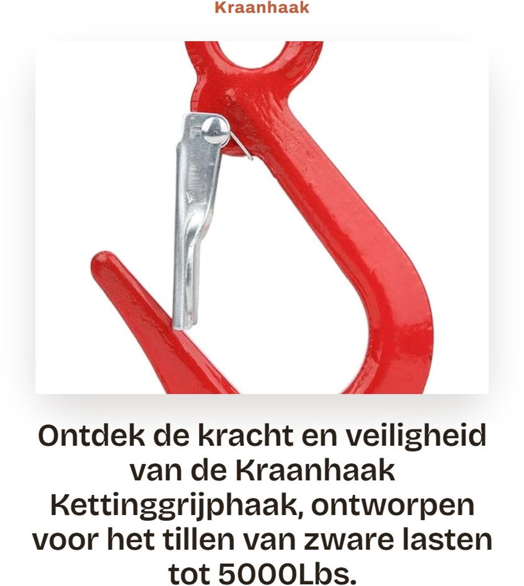 Dailygoods- Kraanhaak 5000Lbs - Gelegeerd Staal - Anticorrosie/Antislijtage - Zware Last Haak - Eenvoudig te Installeren - Hoogwaardige Sterkte - Hijshaak