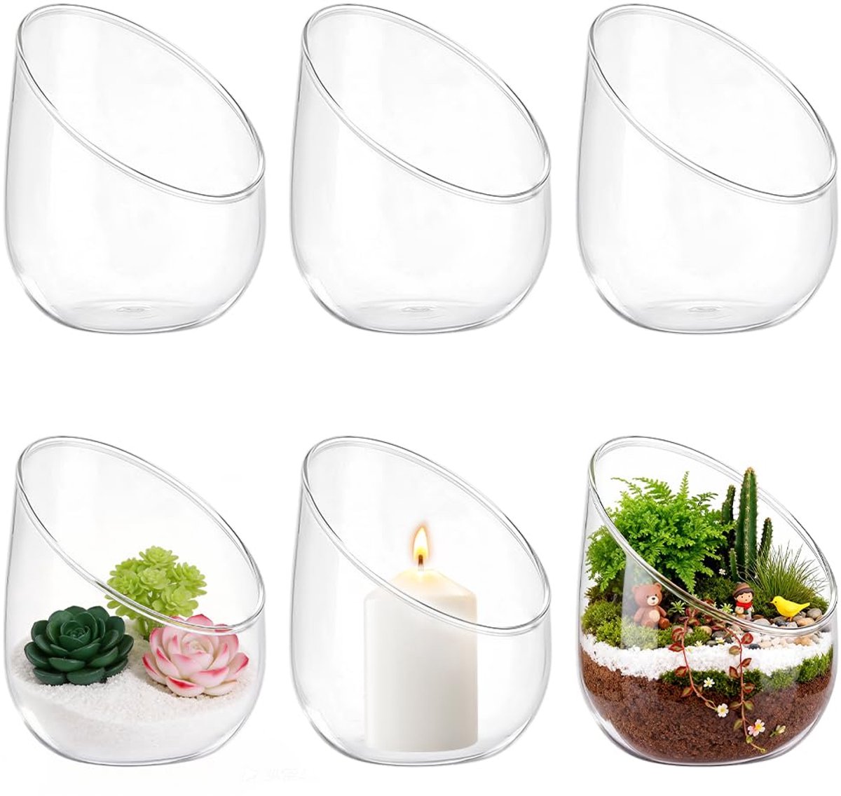 6 stuks helder glas lucht plant terrarium, 12,2 cm helder glas ronde vazen, sappige cactus plant vaas plant terrarium voor woondecoratie