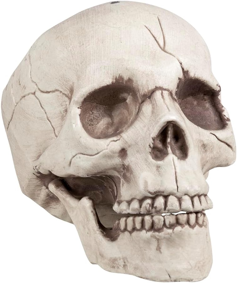 - Decoratie Schedel Jawbone, Beweegbare Kaak | Schedel voor Halloween, carnaval en horrorfeest