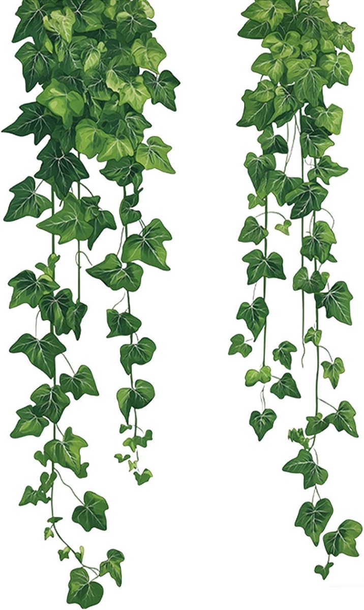 Groene Wijnstok Muurstickers 30 x 60 cm