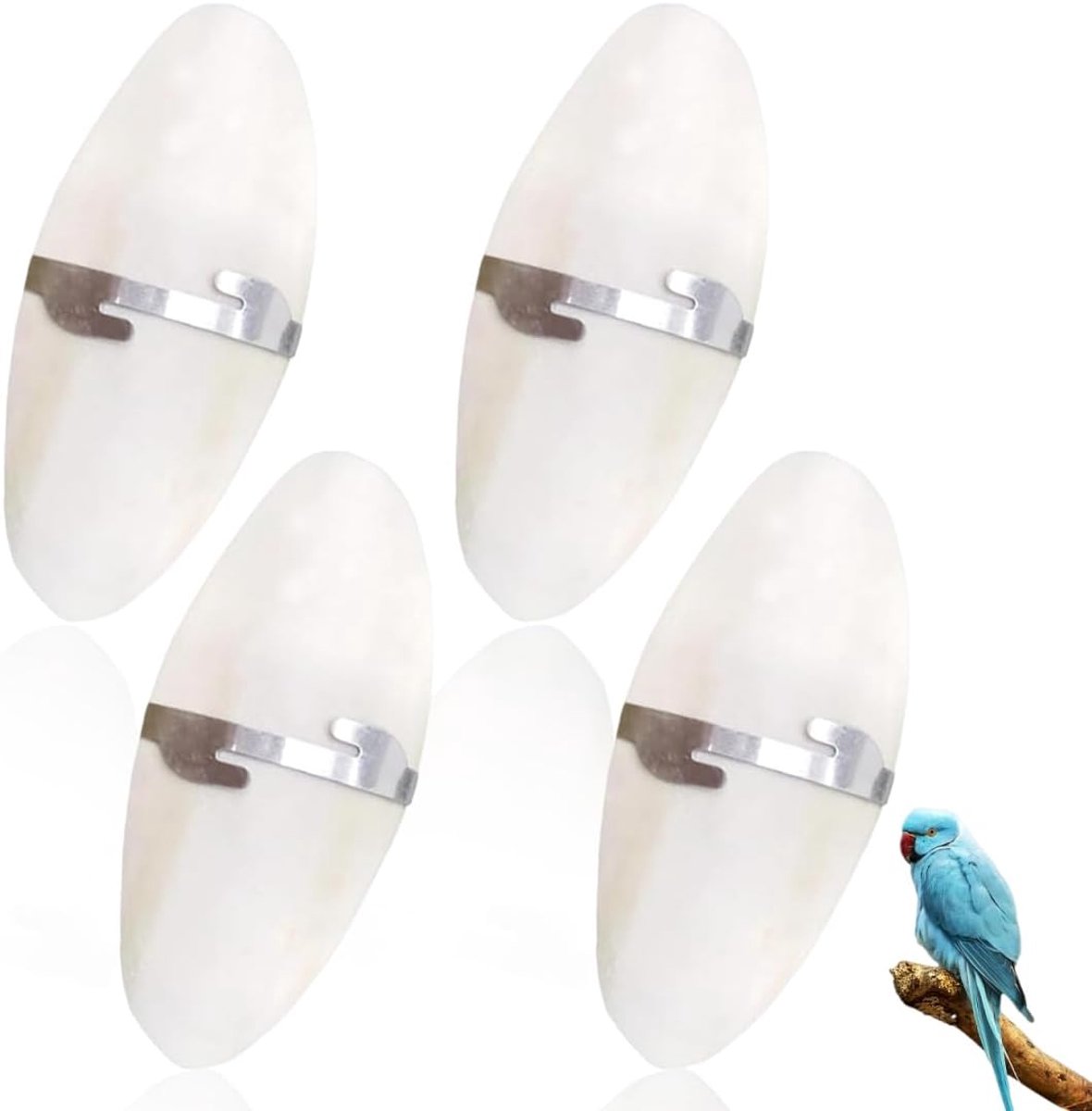 Speelgoed vogels kauwspeelgoed met metalen houder inktvis sepia bot voor papegaaien vogels reptielen schildpadden slakken (ca. 11 cm)