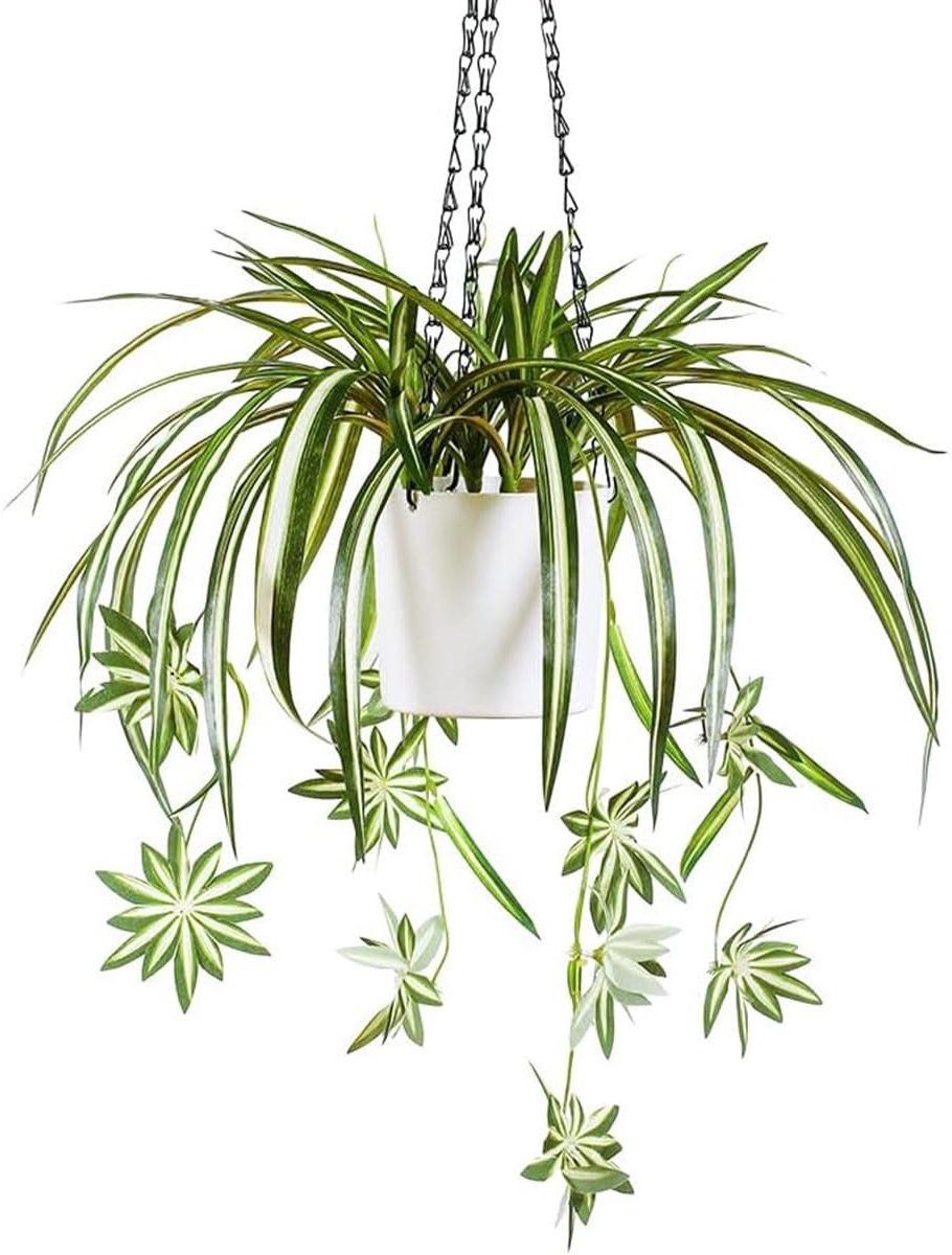 SolidKeus - Kunstmatige Spinplant in Witte Hangpot