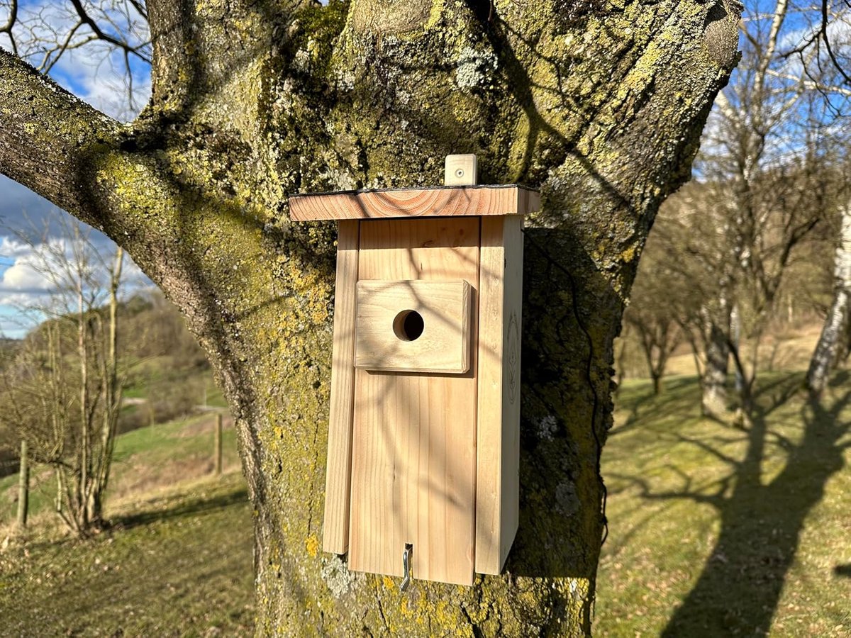 Vogelhuis met camera - Nestkast observatie - Natuur beleven - Live HD stream - 3 meter kabel - Houtkleurig