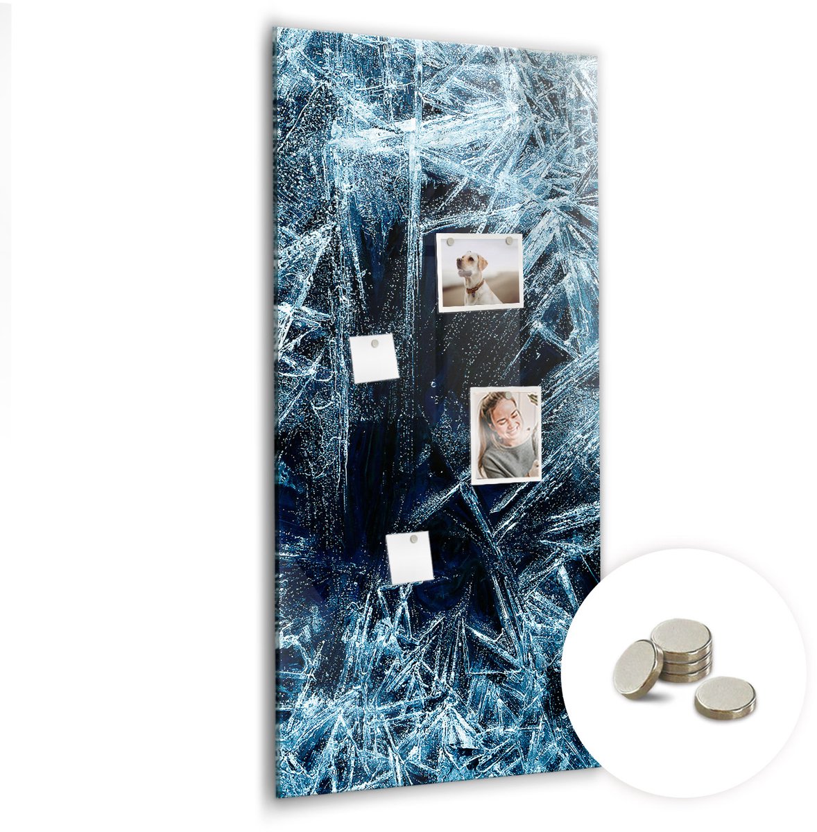 Coloray Glazen Magneetbord - Magnetisch Bord Exotische bladeren - 60x120 cm - Blauw Magneetbord - Magnetic Board - Bureau Decoratie