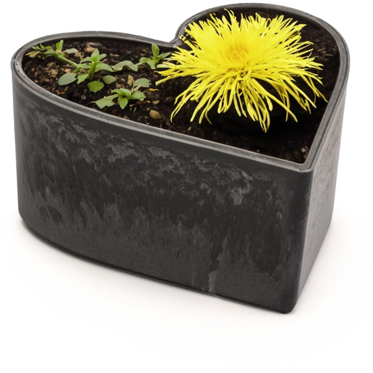 Solidchoice - Weerbestendige Hartvormige Plantenschaal voor Buiten