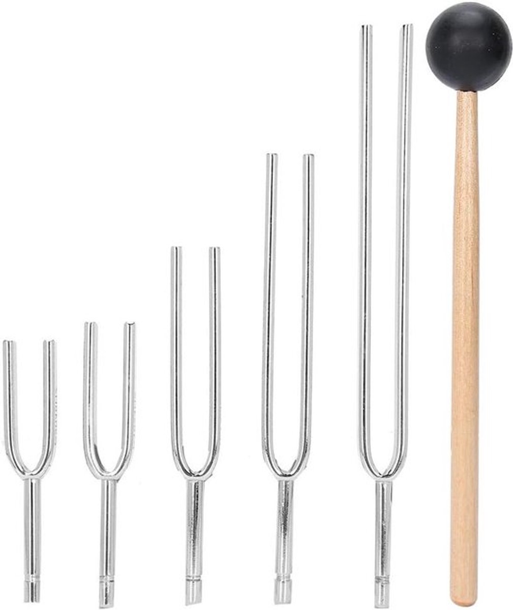 Complete Set van 5 Stemvorken met 128Hz, 256Hz, 512Hz, 1024Hz en 2048Hz - Inclusief Opbergtas en Hamer voor Muzikanten, Leraren en Wetenschappers