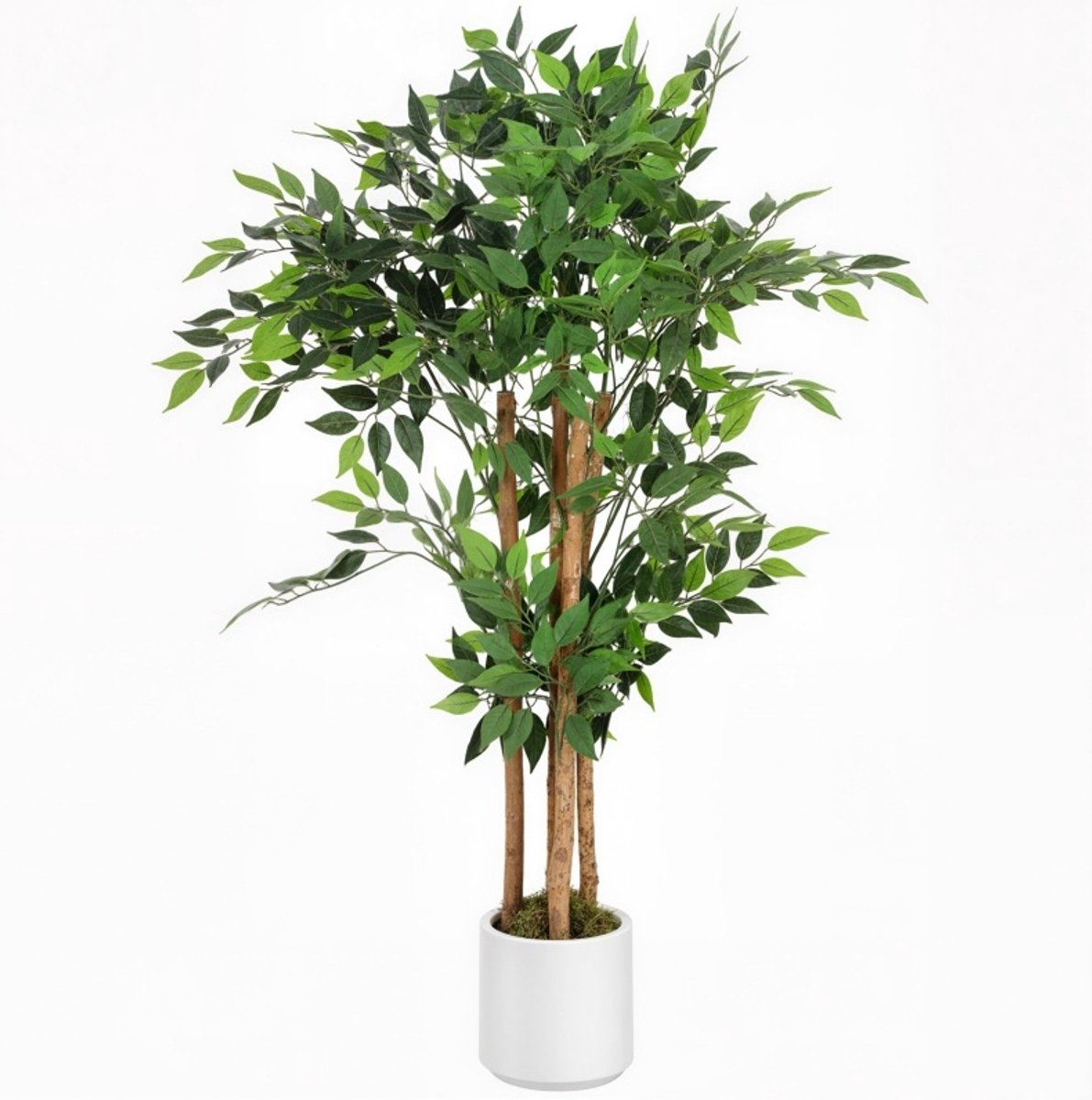 FloraGrace Kunstplant Realistische Banyanboom 55 X 55 X 120 Cm Kunststof En Hout Groen Voor Binnen Woonkamer Slaapkamer Kantoor Met Verstelbare Bladeren Green