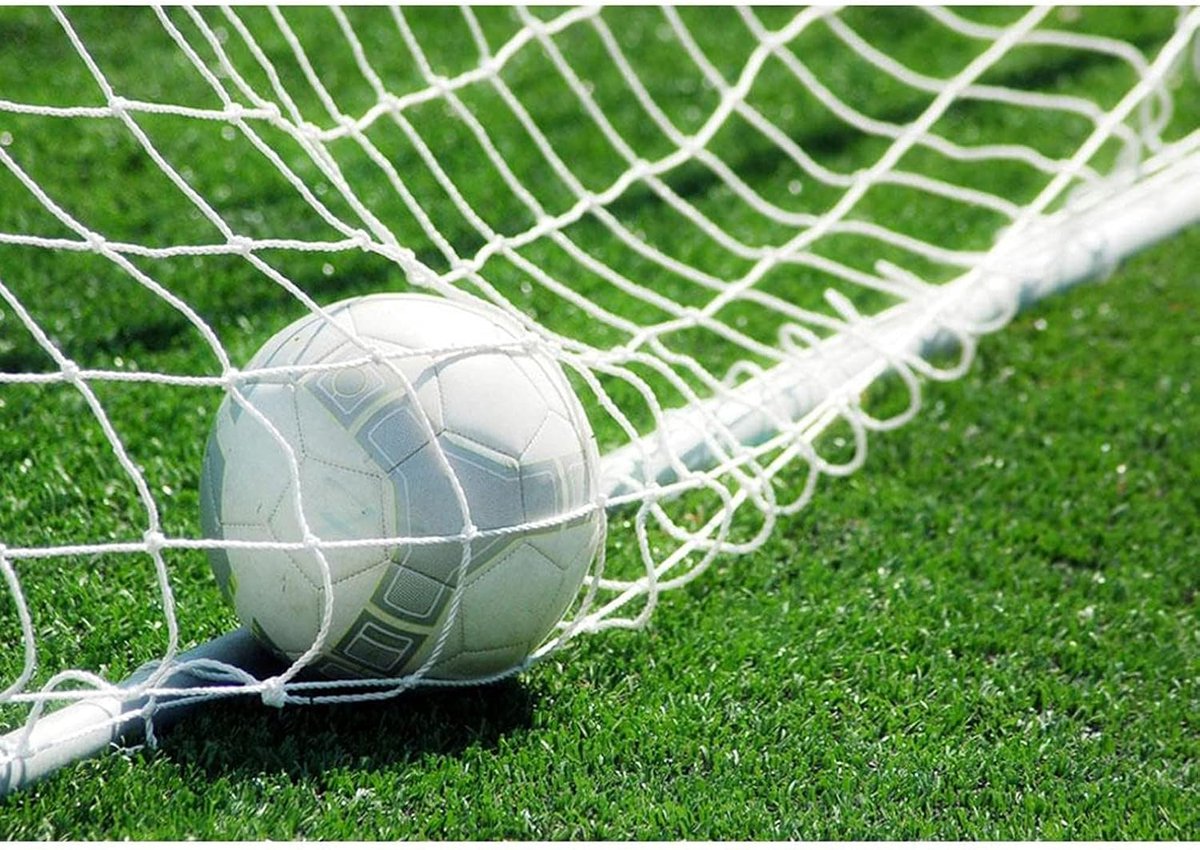 Netten, 8 x 4 ft Trainingsvoetbalnet van polypropyleenvezel, kleine zware voetbaldoelnetvervanging, voor lacrosse en voetbal