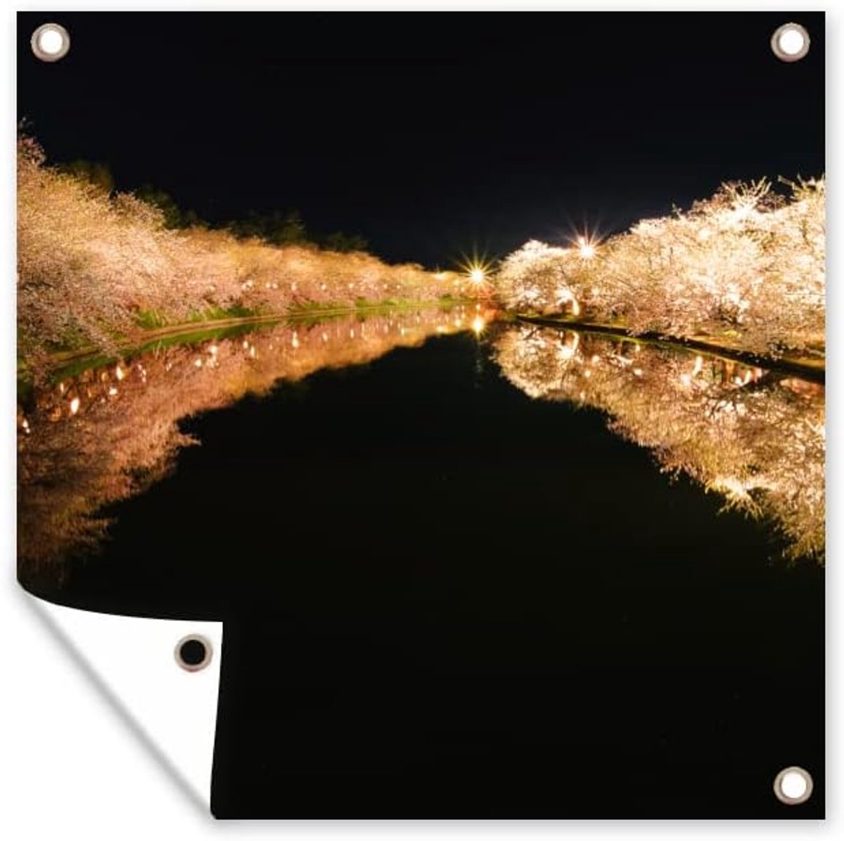 Tuinposter - 200x200 cm - Kersenboom - Bloesem - Licht