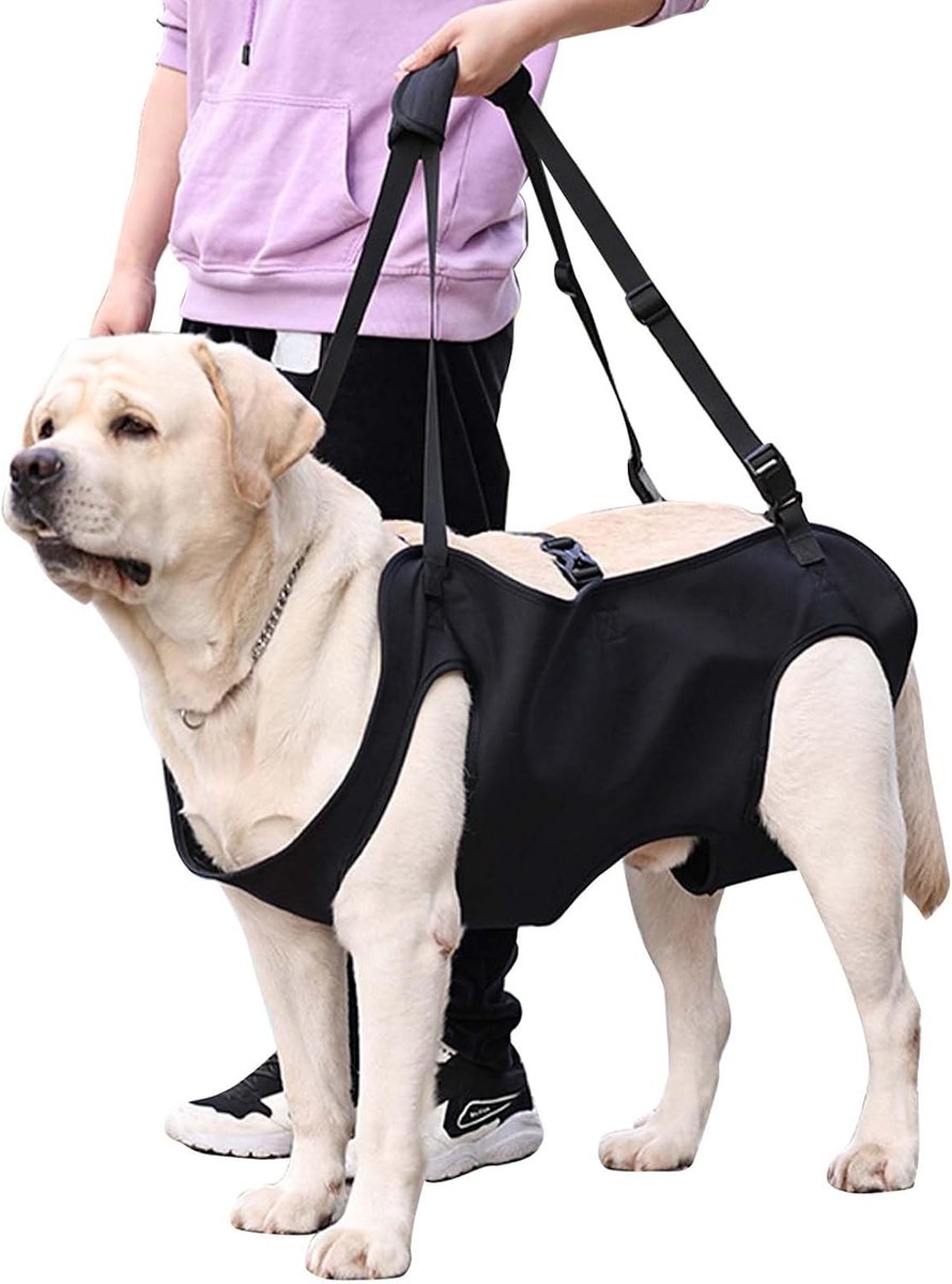 Ondersteuning en revalidatie, revalidatiestuig (L | Voor honden biedt volledige ondersteuning van het lichaam om het gewicht te verdelen, evenwicht en comfort te behouden