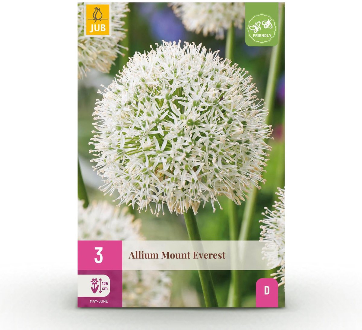 Bloembollen - Allium Mount Everest - Kleur Wit - 3 stuks - Bolmaat 16/18 - XXL Pack