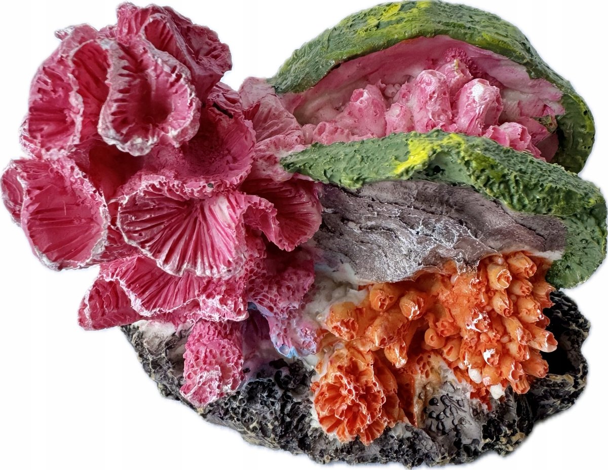 Kunstmatige Koraalrif Decoratie voor Aquarium met Schelp - 7cm