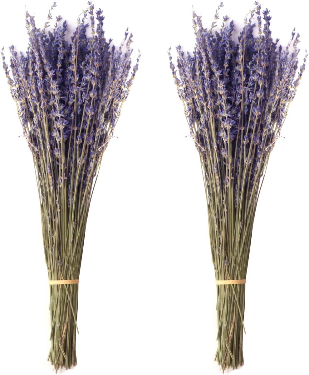 Gedroogde lavendelboeketten 100 g - 43 cm - natuurlijke lavendelbloemen - perfect voor knutselen - ShopVlot
