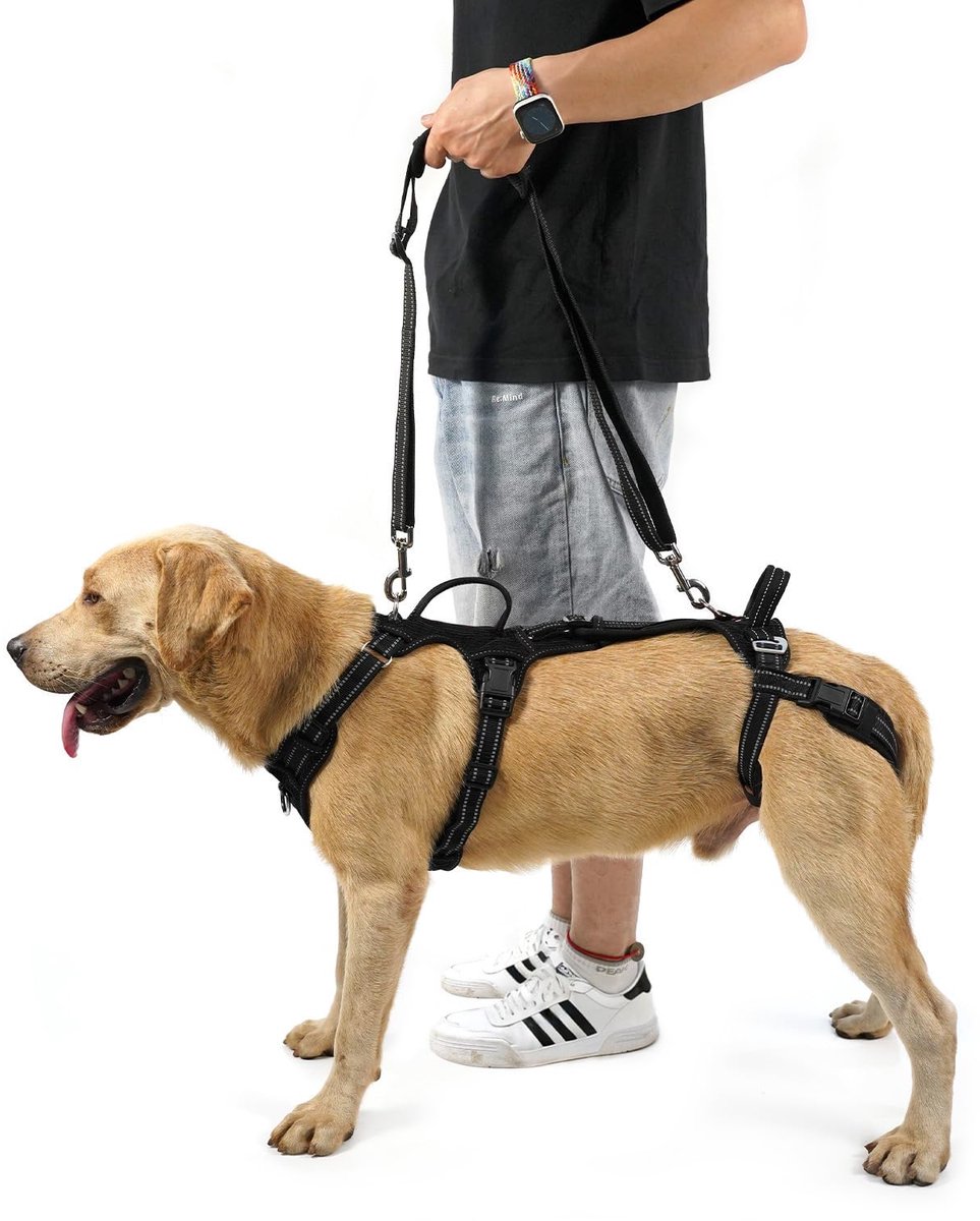 Hondenlift Tuig M - Zwart - Ondersteuning voor Rechtersbeen - Ideaal voor Oudere Honden - ShopVlot