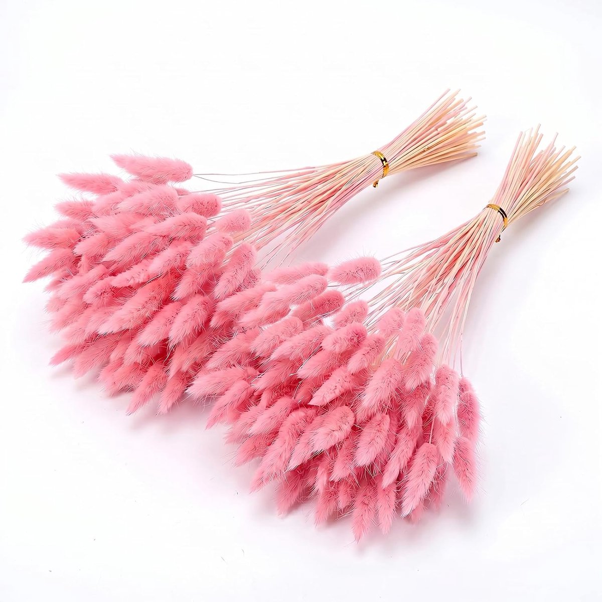 Konijnenstaarten droogbloemen - Natuurlijk - Decoratief - Perfect voor creatieve bloemstukken - ShopVlot