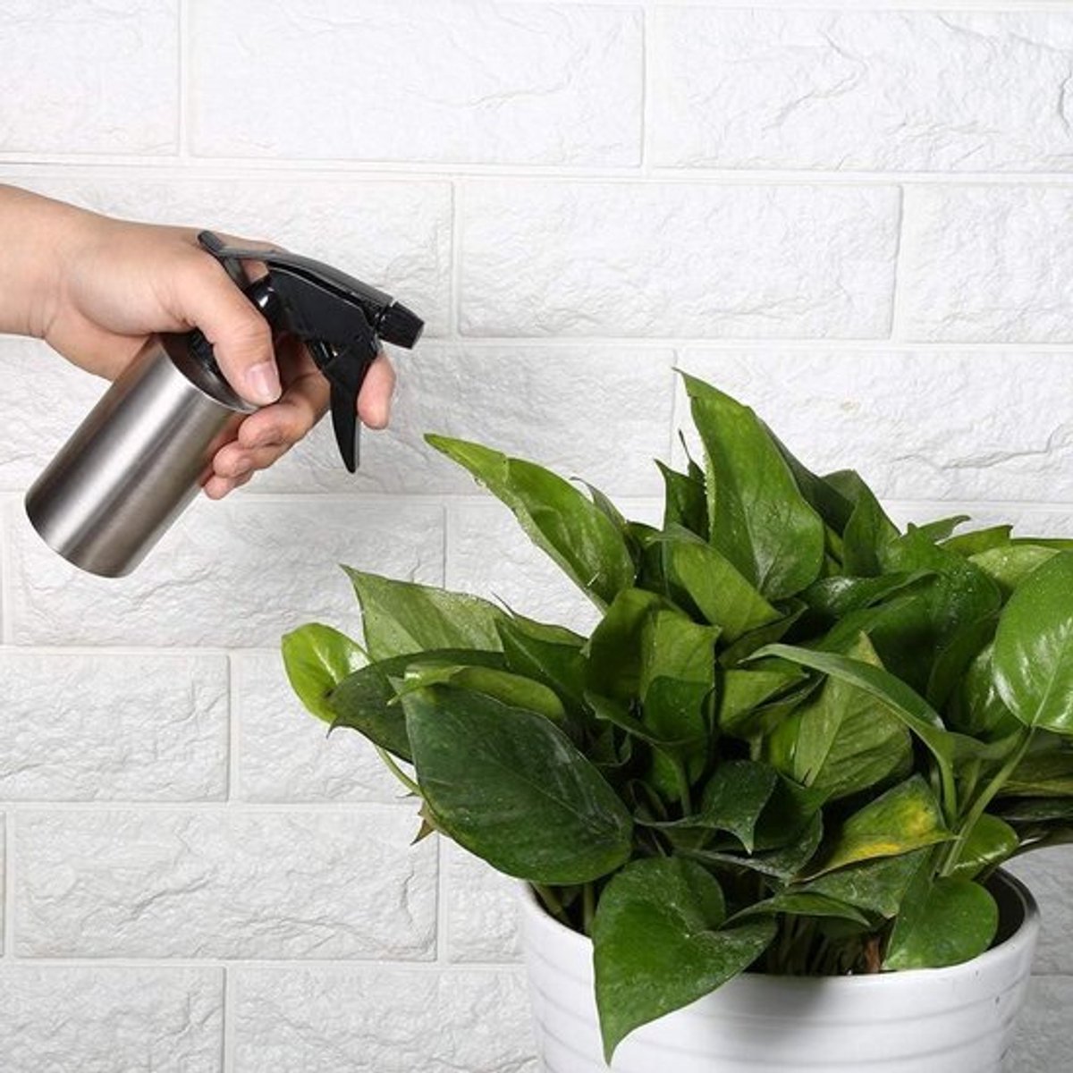 Metalen watersproeifles voor planten - Handdruk plantensproeier van 304 roestvrij staal - Gieter irrigatie voor potplanten - Fles met 350 ml capaciteit