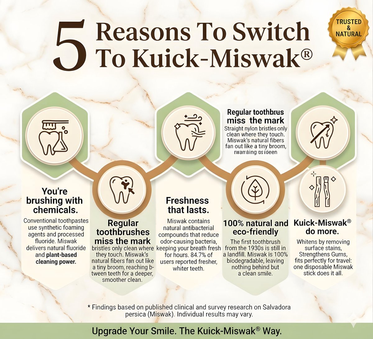 SnelShoppen - KUICK-MISWAK | 6 Biologische Siwak Sticks met Houder | Kauwbare Tandenborstel voor Wittere Tanden en Frisse Adem | Milieuvriendelijk en