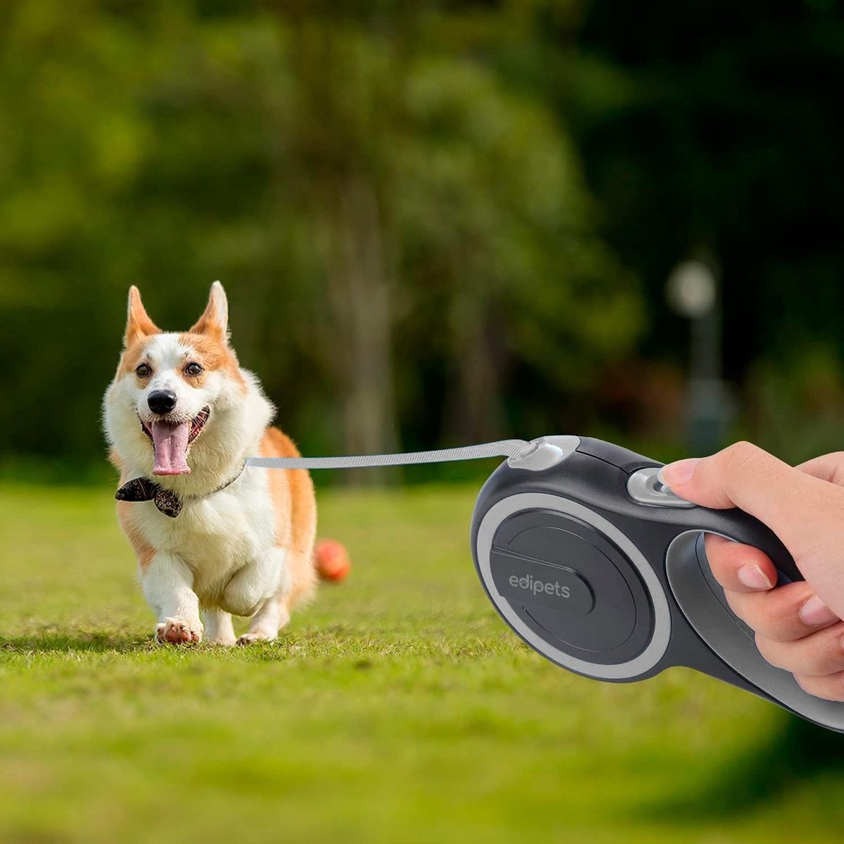 SnelShoppen - Verlengbare Hondenriem, Intrekbaar, Flexibele Leiband voor Training en Wandelen, 3, 5 en 8 Meter, Roze, Voor Honden Tot 50kg