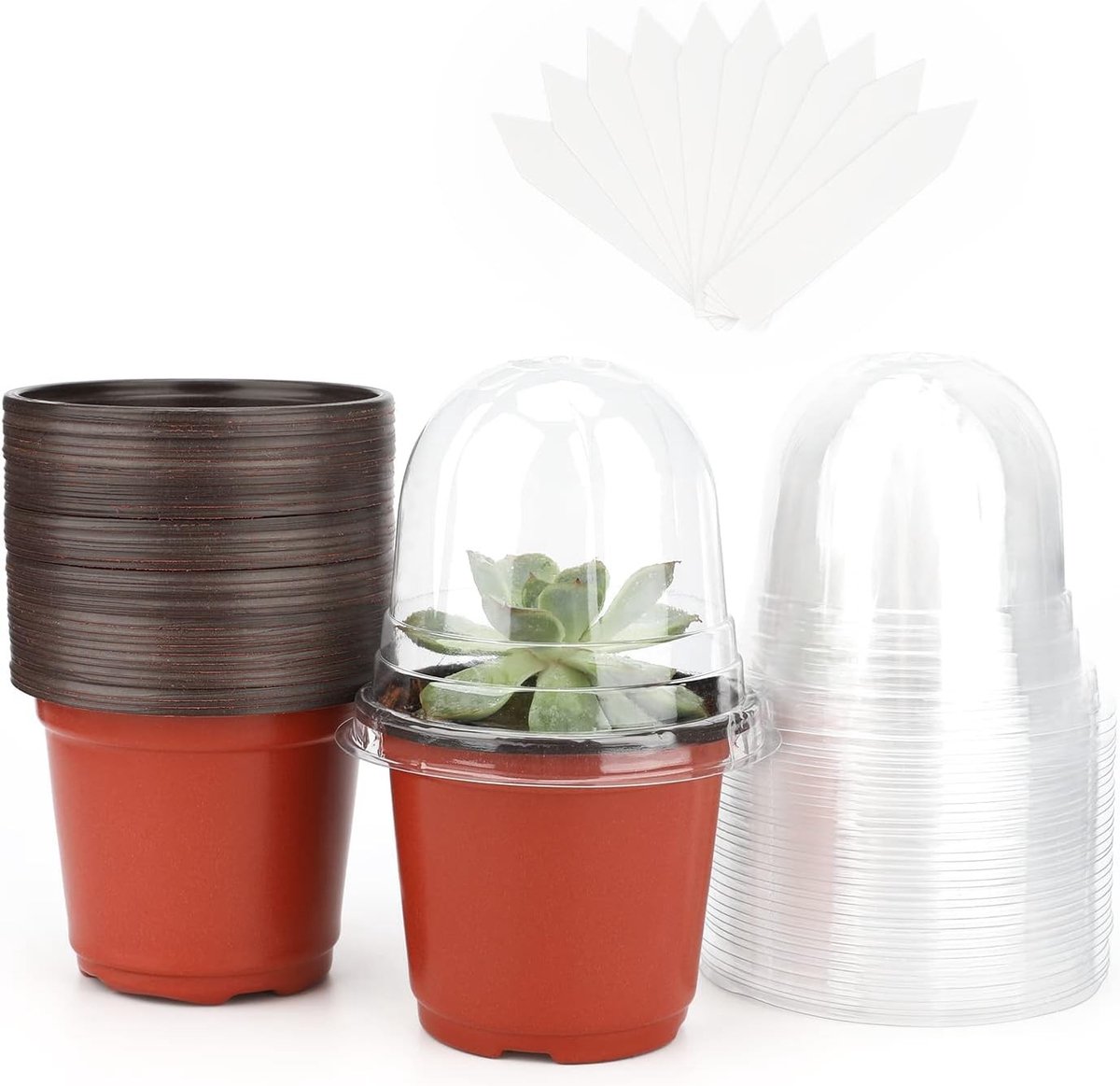 32 Stuks 10cm Bruine Plastic Plantenpotten met Vochtigheid Dome, Ideaal voor Zaailingen, Stekken en Vetplanten met 10 Stuks Plantlabels