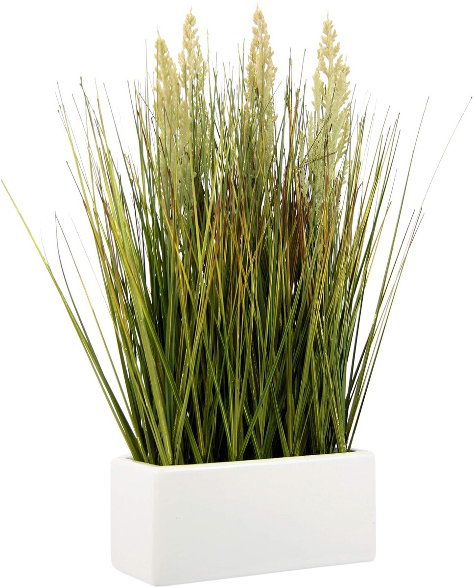 Solidchoice - Kunstgras in Witte Keramische Pot, Decoratief Item