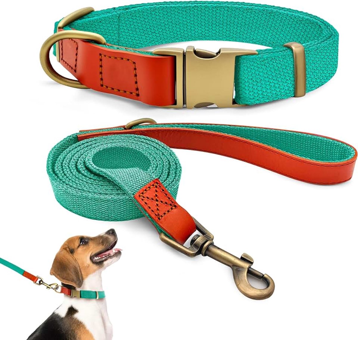 Set van halsband en riem M 32–50 cm, leer met nylon (blauwgroen) | Riem 152 cm, vintage metalen gesp, 360° draaibaar, voor middelgrote honden, geschikt voor wandelingen en training