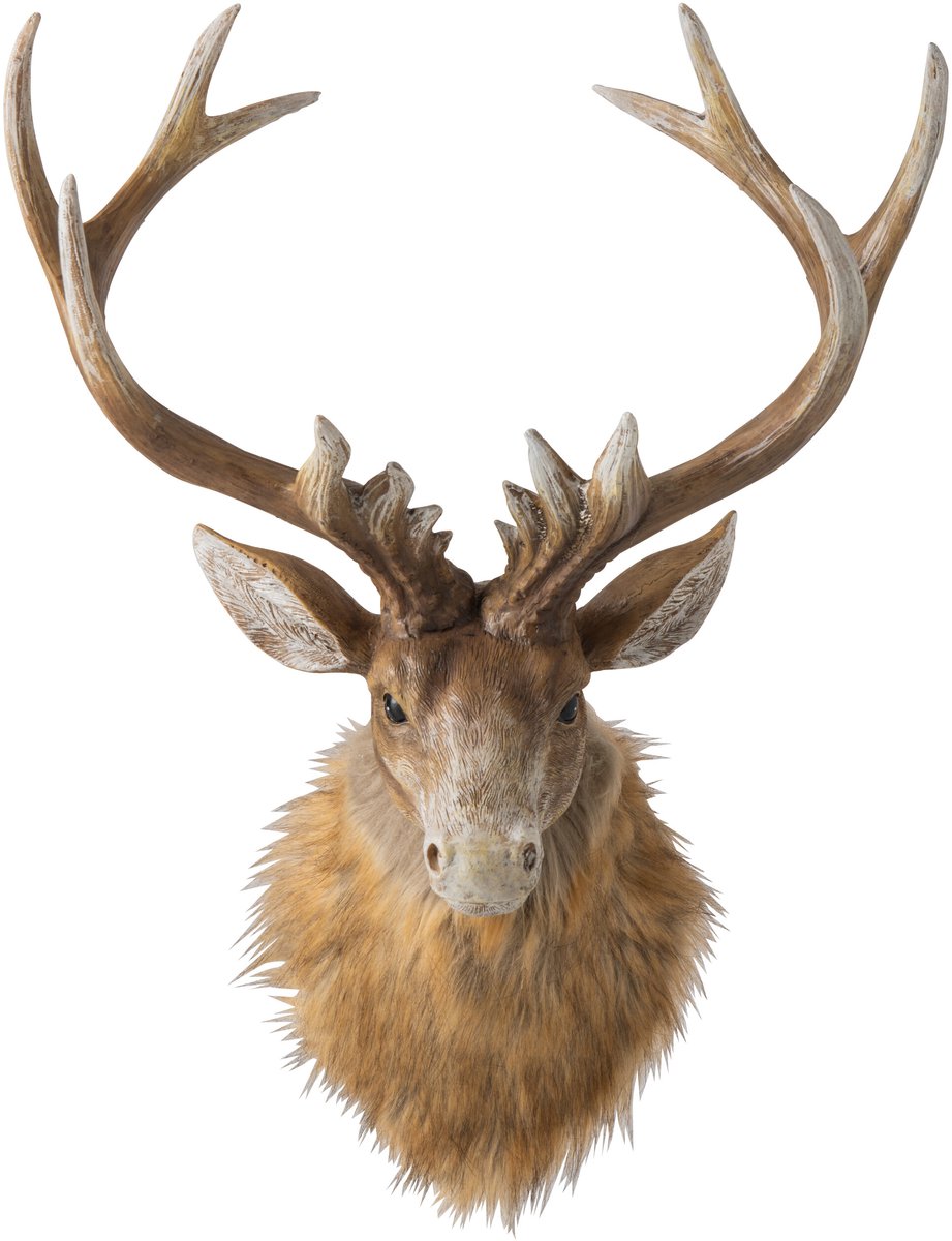 J-Line wanddecoratie Hert Kop - polyresin - bruin/lichtbeige - large