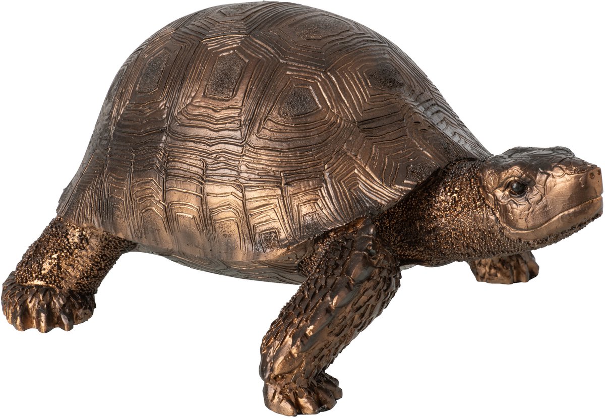 J-Line Schildpad - polyresin - brons - large