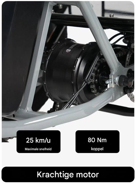 16 Inch 48V 20Ah Accu Famille elektrische longtail transportfiets - Klapfiets E-Bakfiets - Elektrische Vrachtsfiets 180kg - 100km Bereik - Elektrische Driewieler - 3-wielige cargo e-bike - 90 Nm -Voor Senioren & Dagelijks Gebruik-Grijs — afbeelding 4