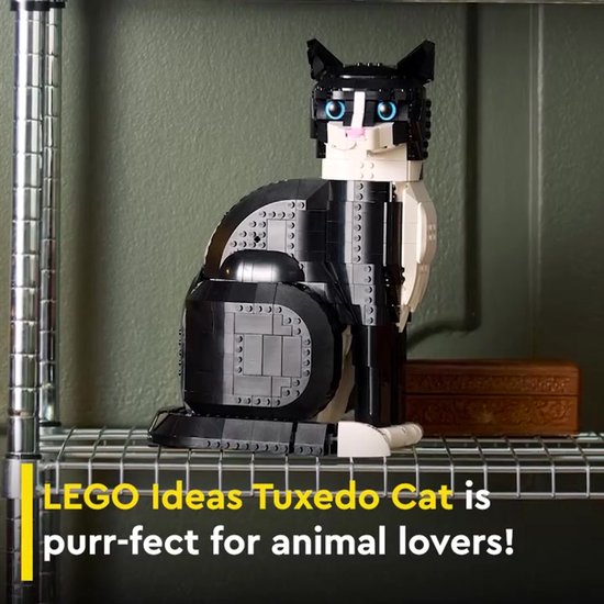 LEGO Ideas Zwart-witte kat - 21349