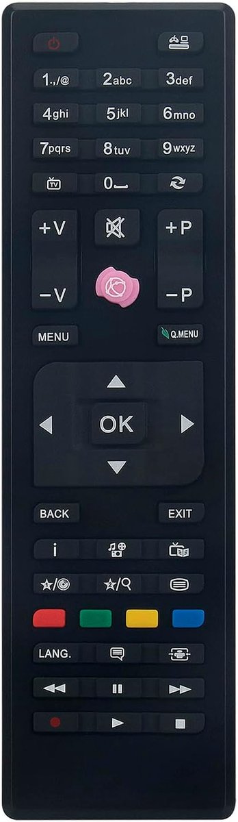 3IN1 RC4849 4870 4875 Vervangende afstandsbediening Geschikt voor VESTEL Telefunken JVC Finlux Sharp SELECLINE HITACHI TECHWOOD TECHNIKA GOGEN TV Models