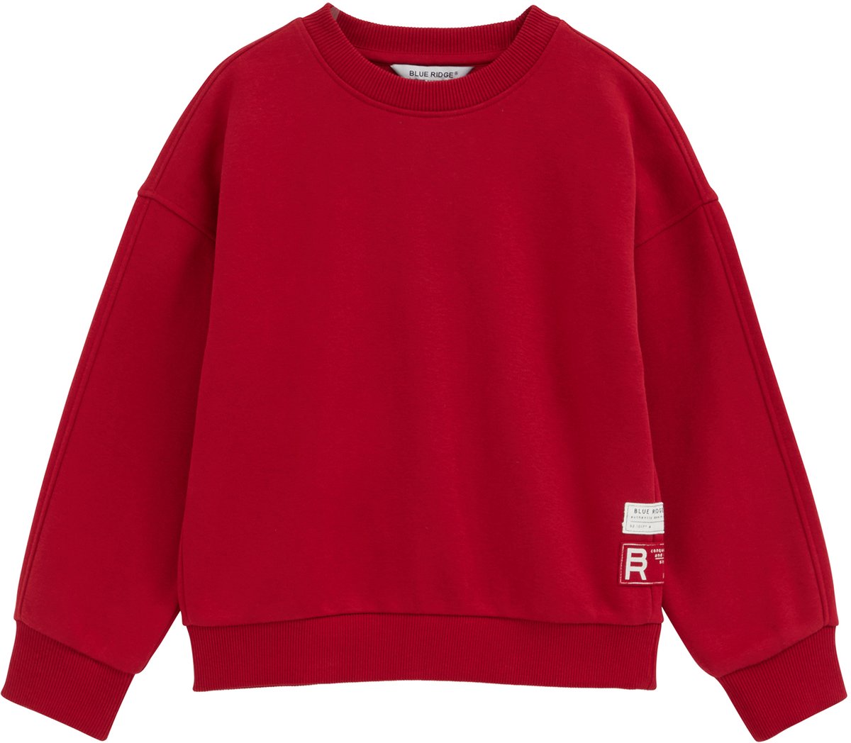 WE Fashion Jongens relaxed fit sweater