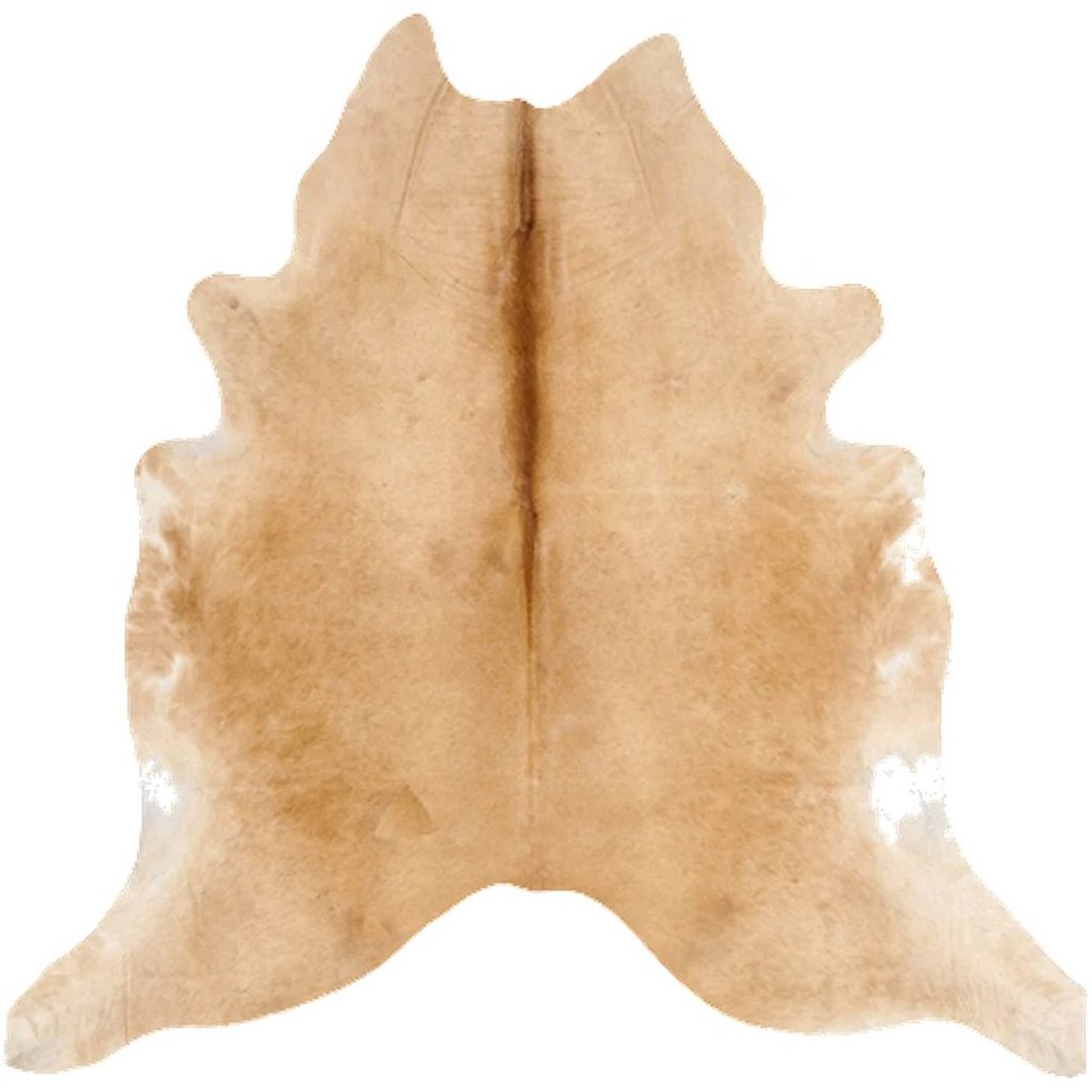 Koeienhuid Vloerkleed XXL (Extra Groot) - Effen-solid - 253 x 248 cm - Koeienkleed / Koeienvel / Dierenvel / Dierenhuid / Koehuid Tapijt