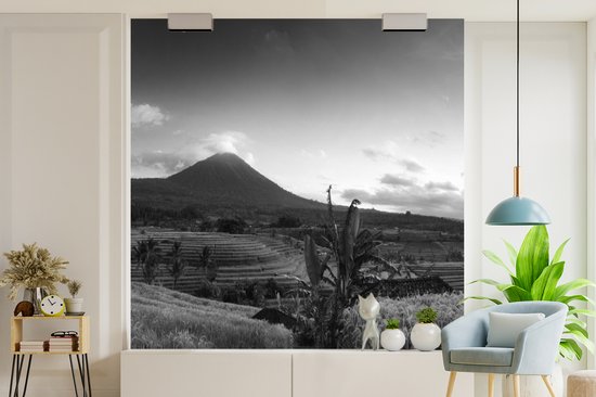 Papier peint - Papier peint Papier peint photo Rizières et volcans en Indonésie - noir et blanc - Largeur 220 cm x hauteur 220 cm