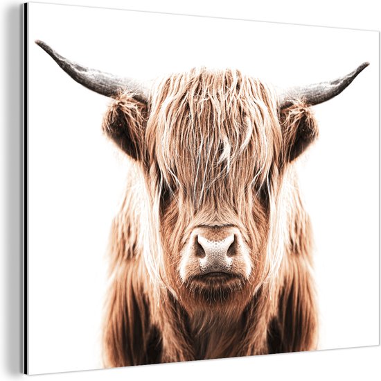 Wanddecoratie Metaal - Aluminium Schilderij Industrieel - Schotse hooglander - Dieren - Stier - 80x60 cm - Dibond - Foto op aluminium - Industriële muurdecoratie - Voor de woonkamer/slaapkamer