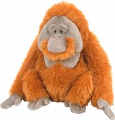 Peluche Wild Republic Orangutan Junior 30 Cm Peluche Marron