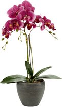 Ibergarden Kunstplant Orchidee 36 X 25 X 50 Cm Lila/grijs
