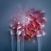 Smoking flowers – 110cm x 110cm - Fotokunst op PlexiglasⓇ incl. certificaat & garantie.