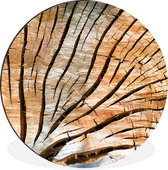 WallCircle - Wandcirkel - Muurcirkel - Een dwarsdoorsnede van een boomstam - Aluminium - Dibond - ⌀ 30 cm - Binnen en Buiten