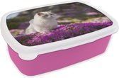 Broodtrommel Roze - Lunchbox - Brooddoos - Een witte ragdoll kat zit in een bed van roze bloemen - 18x12x6 cm - Kinderen - Meisje