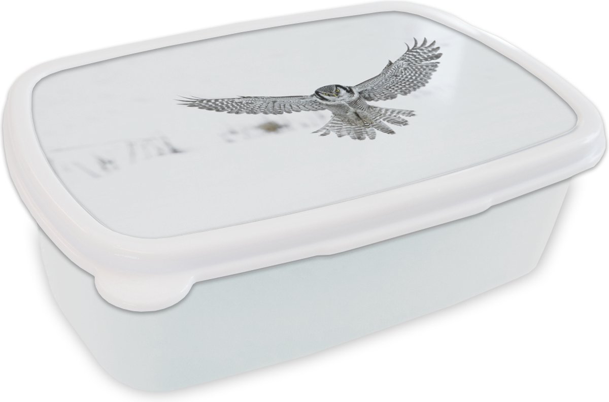 Broodtrommel Wit - Lunchbox - Brooddoos - Vliegende Hawkuil - 18x12x6 cm - Volwassenen