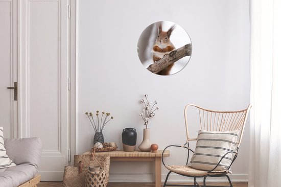Cercle mural - Cercle mural intérieur - Écureuil - Arbre - Flocon de neige - Hiver - ⌀ 30 cm - Décoration murale - Peintures ronds